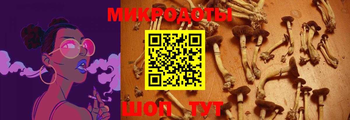 Галлюциногенные грибы MAGIC MUSHROOMS  Вход с VPN  Усинск 