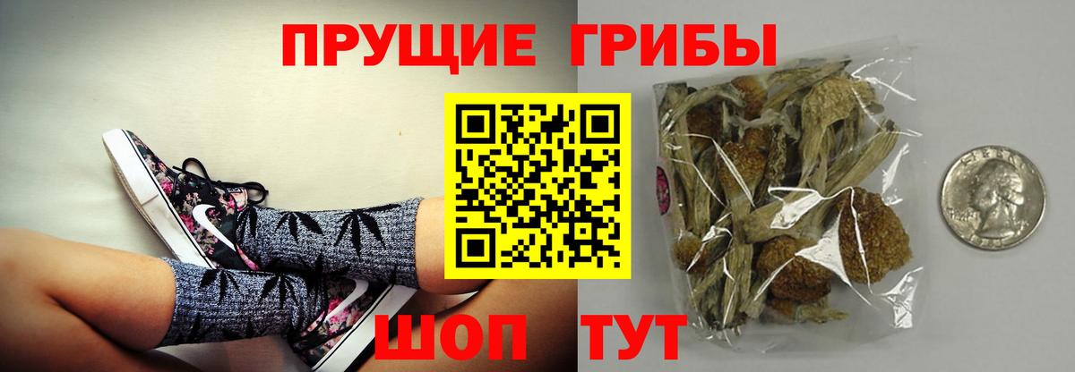 Галлюциногенные грибы мицелий Усинск